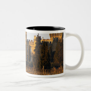 De wijngaard met syrah-druiven en het kasteel tweekleurige koffiemok