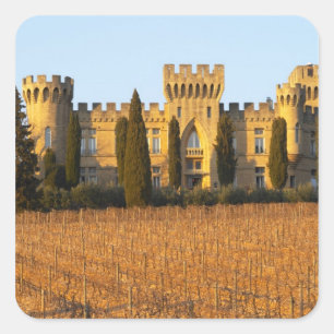 De wijngaard met syrah-druiven en het kasteel vierkante sticker