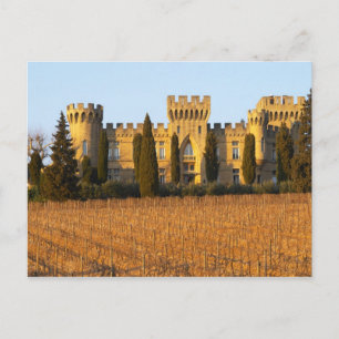 De wijngaard met syrah wijnstokken en het kasteel briefkaart