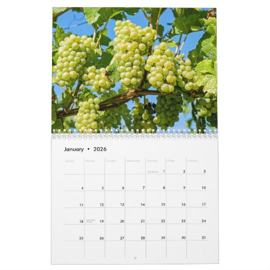 De wijnkalender 2026 - Veni, Vidi, Vino Kalender (Jan 2026)