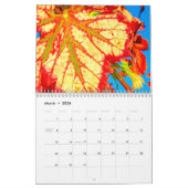 De wijnkalender 2026 - Vuurwerk Kalender (Mar 2026)