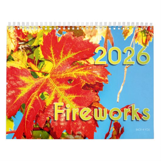De wijnkalender 2026 - Vuurwerk Kalender (Hoes)