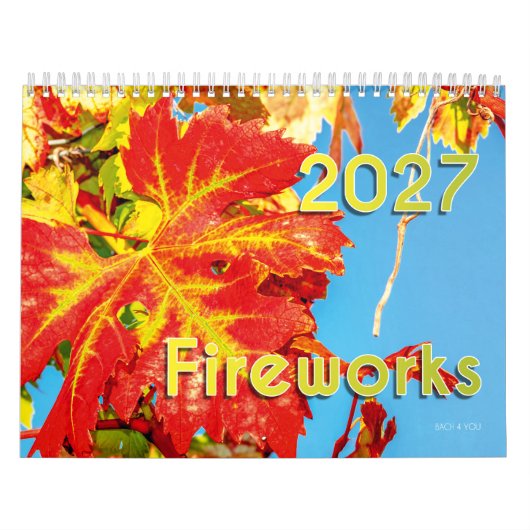 De Wijnkalender - Vuurwerk Kalender (Hoes)