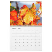 De Wijnkalender - Vuurwerk Kalender (Jan 2027)