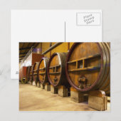 De wijnkelderwijn met grote oude houten vaten briefkaart (Voorkant / Achterkant)