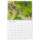 De Wijnmuur kalender - Wijn... Impressie (Mar 2027)