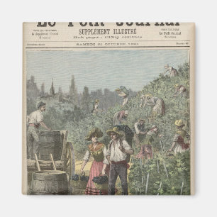 De wijnoogst magneet