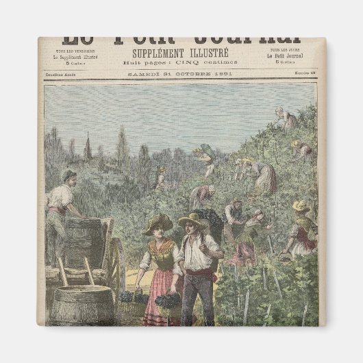 De wijnoogst magneet (Voorkant)