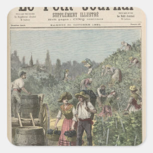 De wijnoogst vierkante sticker