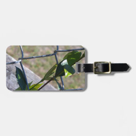 de wijnstok op een ketting link fence life vindt e bagagelabel