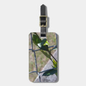 de wijnstok op een ketting link fence life vindt e bagagelabel (Voorkant verticaal)