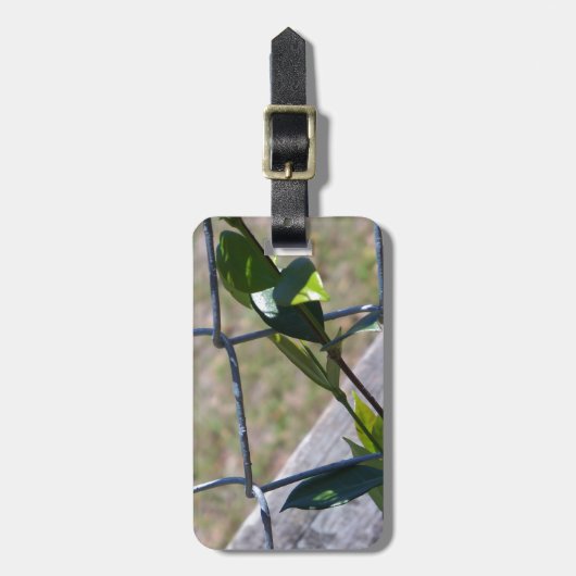 de wijnstok op een ketting link fence life vindt e bagagelabel (Voorkant verticaal)