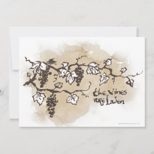 De wijnstokken zijn in bedwang