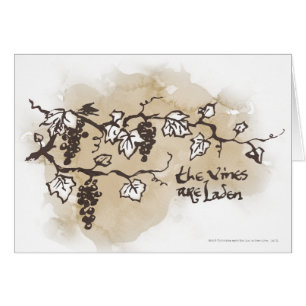 De wijnstokken zijn in bedwang