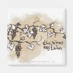 De wijnstokken zijn in bedwang magneet