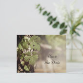 De Wijnstokweddenschap van de druiven sparen de Da Aankondigingskaart (Staand voorkant)