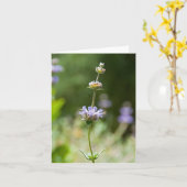 De wijze Kaart van de Nota van de Bloem (Gele Bloem)