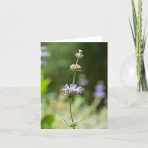 De wijze Kaart van de Nota van de Bloem