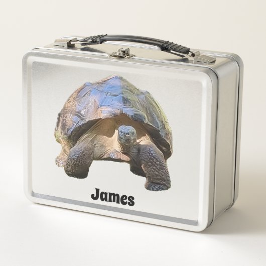 De wijze oude Tortoise (Voorkant)