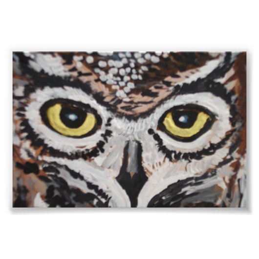 De wijze uil foto afdruk (Voorkant)