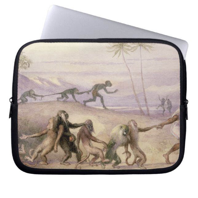 De wijze van gebruik en de douane van apen laptop sleeve (Voorkant)