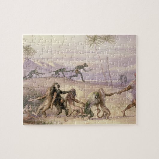 De wijze van gebruik en de douane van apen legpuzzel (Horizontaal)