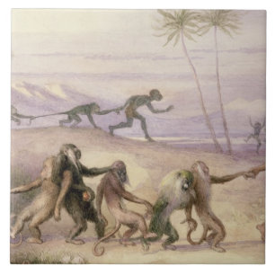 De wijze van gebruik en de douane van apen tegeltje