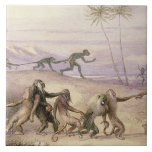 De wijze van gebruik en de douane van apen tegeltje (Voorkant)