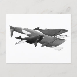 De wijze waarop walvissen worden geïllustreerd briefkaart