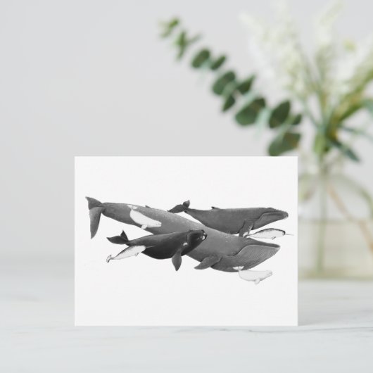 De wijze waarop walvissen worden geïllustreerd briefkaart (Staand voorkant)