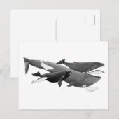 De wijze waarop walvissen worden geïllustreerd briefkaart (Voorkant / Achterkant)