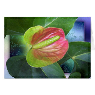 De wil om te genezen