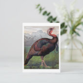 De Wild American Turkey Cock, illustratie van " Briefkaart (Staand voorkant)