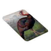 De Wild American Turkey Cock, illustratie van " Magneet (Rechterzijde)