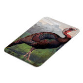 De Wild American Turkey Cock, illustratie van " Magneet (Linkerzijde)