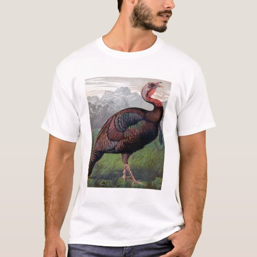 De Wild American Turkey Cock, illustratie van " T-shirt (Voorkant)