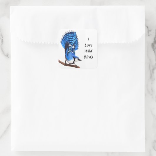 De Wild Blue Jay Sticker (Tas)