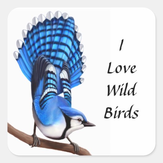 De Wild Blue Jay Sticker (Voorkant)
