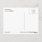 De Wild paarden van Assateague 1 Briefkaart (Achterkant)