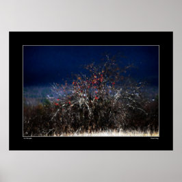 De wilde appel poster