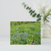 De wilde bloemen op Mount Rainier Briefkaart (Staand voorkant)