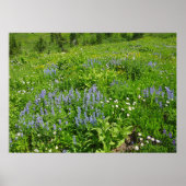 De wilde bloemen op Mount Rainier Poster (Voorkant)