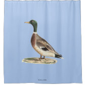 De wilde eend (Anas platyrhynchos) Douchegordijn (Voorkant)