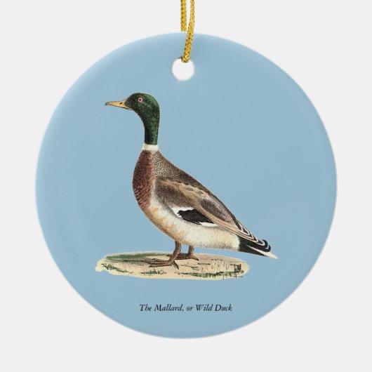 De wilde eend (Anas platyrhynchos) Keramisch Ornament (Voorkant)