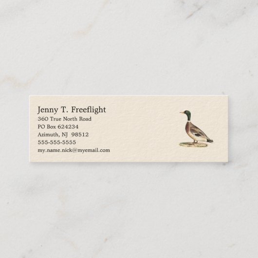 De wilde eend (Anas platyrhynchos) Mini Visitekaartje (Achterkant)