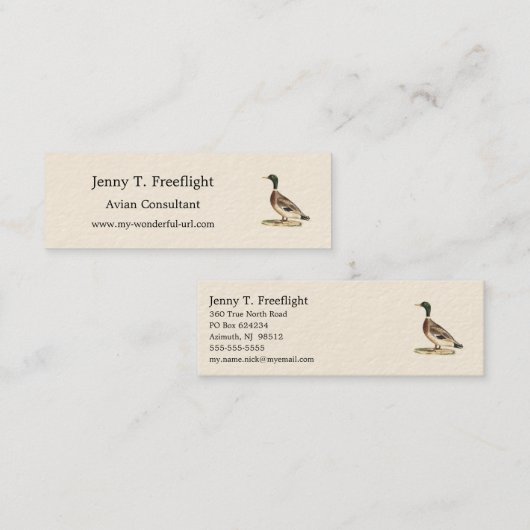 De wilde eend (Anas platyrhynchos) Mini Visitekaartje (Voorkant / Achterkant)