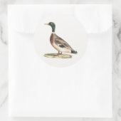 De wilde eend (Anas platyrhynchos) Ronde Sticker (Tas)