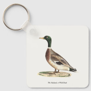 De wilde eend (Anas platyrhynchos) Sleutelhanger