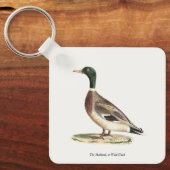 De wilde eend (Anas platyrhynchos) Sleutelhanger (Voorkant)