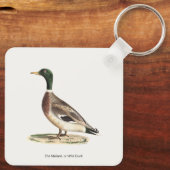 De wilde eend (Anas platyrhynchos) Sleutelhanger (Achterkant)
